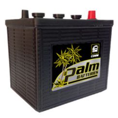 1-6V, Palm Commercial Battery, Group 1, 625 CCA