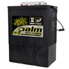 L16-390-HD, Palm, Flooded Deep Cycle & Golf Cart Battery , Group L16