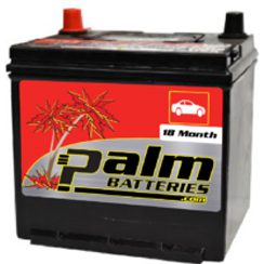 18-121R, Palm Battery, 18 Month Warranty, Group 121R