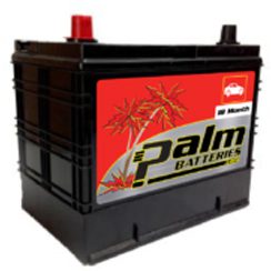 18-24, Palm, Quality Automotive Battery, Group 24