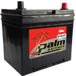 18-35, Palm Battery, 18 Month Warranty, Group 35