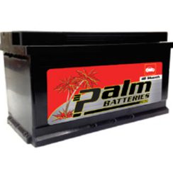 18-49, Palm Battery, 18 Month Warranty, Group 49