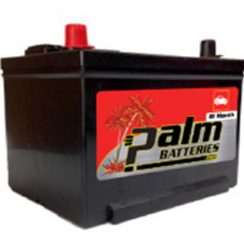 18-58, Palm Battery, 18 Month Warranty, Group 58