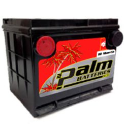 12-75, Palm Battery, Group 75