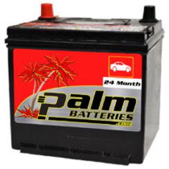 24-121R, Palm Battery,  Group 121R
