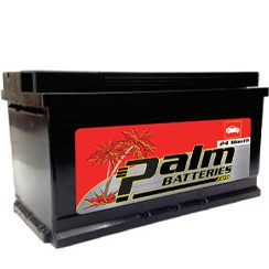 24-49, Palm, Quality Automotive Battery, Group 49