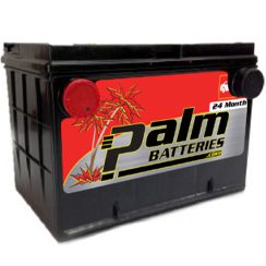 24-78, Palm, Quality Automotive Battery, Group 78