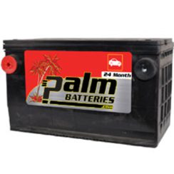 24-79, Palm Battery, 24 Month Limited Warranty, Group 79