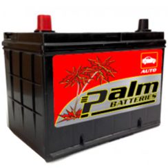 30-34, Palm Battery, 30 Month Warranty, Group 34