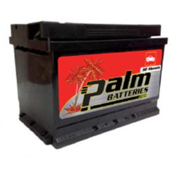 30-48, Palm, Quality Automotive Battery, Group 48