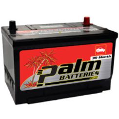30-65, Palm, 850cca Automotive Battery, Group 65