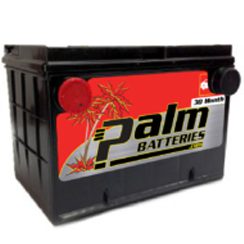 12-78, Palm Battery, 12 Month Limited Warranty, Group 78