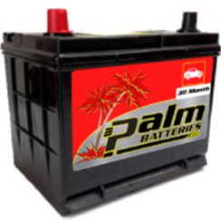 12-86, Palm Battery, 12 Month Free Replacement, Group 86