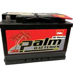 48-AGM, Palm Quality Automotive Battery, Group 48