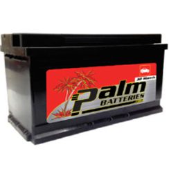 30-49, Palm, Quality Automotive Battery, Group 49