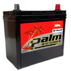 30-51R, Palm Battery, 30 Month Warranty, Group 51R