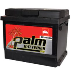 24-67R, Palm Battery, Group 67R
