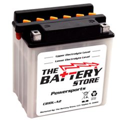 CB10L-A2, Palm, Flooded, Powersports Battery, 12 Month Warranty, 90 Day Free Replacement