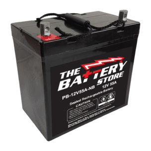 PB-12V55A-NB, Palm, 12 Volt, 55 Amp, SLA, AGM Battery