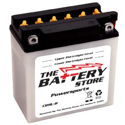 CB9L-B, Palm, Flooded, Powersports Battery