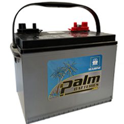 24M-AGM, Palm, 700cca 120rc, AGM Marine Battery, Group 24