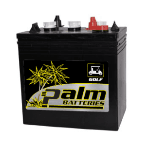 G100 Palm, 6 Volt 200Ah, Golf Cart Battery, Group GC2