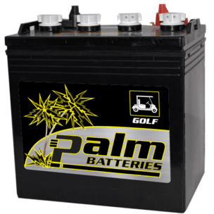 G875, Palm, 8 Volt 170Ah, Golf Cart Battery, Group GC2