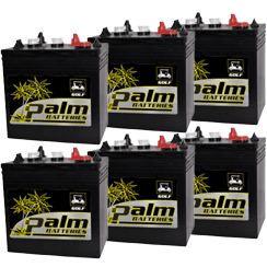 Six- 6V-225-HD, Palm 6 Volt , 225Ah, Golf Cart Batteries, Group GC2