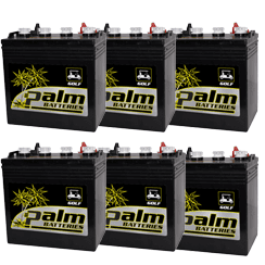 Six - 8V-170-HD Palm, 8 Volt 170Ah, Golf Cart Batteries Set, Group GC2